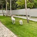 بيت للعطل Felix House شيوفوك