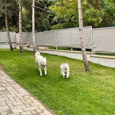 Дом отдыха Felix House Шиофок