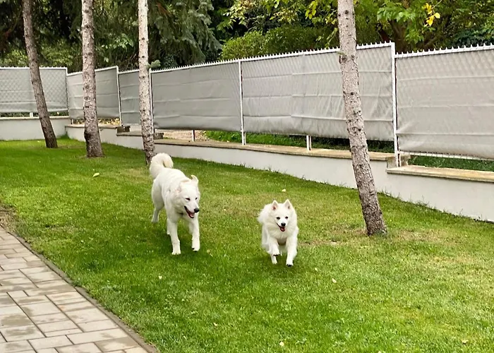 Vakantiehuis Felix House Siófok